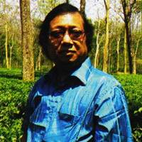 Dewan Shamsul Arefin